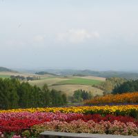 ホテルの近くには花畑も♪