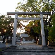 高浜市有数の神社、桜の隠れ名所