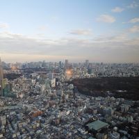 圧倒されますね