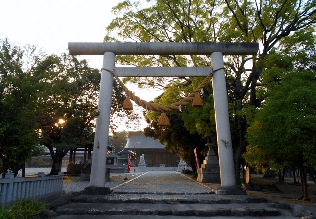 高浜市有数の神社、桜の隠れ名所