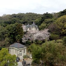 ここから見る萬翠荘。桜満開で壮観です