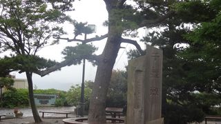 大鳴門橋が間近に