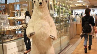 とにかく店がいっぱいありすぎて目移りします。