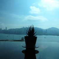 １４Ｆからの眺め（昼）