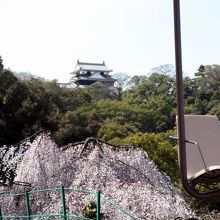 リフトからの景気です