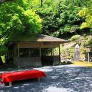 青もみじと苔が素敵な初夏の白龍園