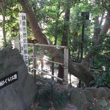 隣接小さな公園あります