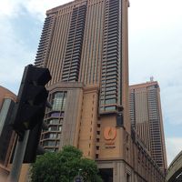 見た目は立派だ