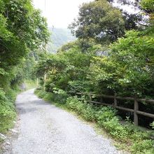 湖畔へいく道の途中です。少し坂になっています。湖畔は標高0メ