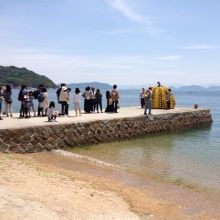 かぼちゃの写真を撮るために行列が？