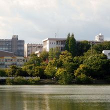 吉田沙保里・伊調姉妹を輩出した至学館大学。