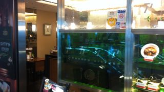 ロールキャベツシチューが美味しい