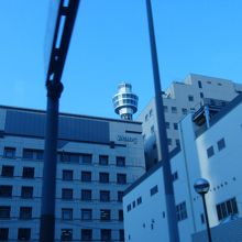 マリンタワーがちょこっと見えました