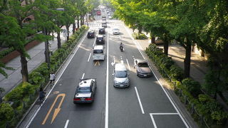 銀杏並木がきれいな通り