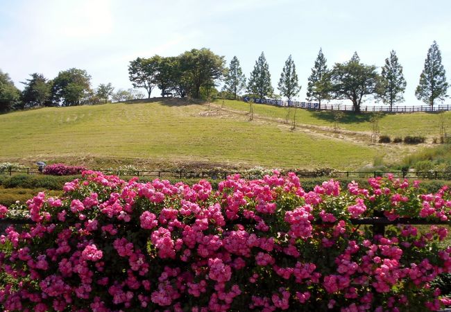 鞍ケ池公園 クチコミ アクセス 営業時間 豊田 フォートラベル