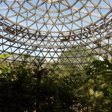 植物園のドーム内。バナナ・コーヒー等亜熱帯植物の宝庫でした。
