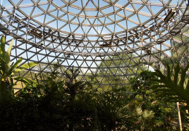 鞍ケ池公園 クチコミ アクセス 営業時間 豊田 フォートラベル 鞍ケ池公園 クチコミ アクセス 営業時間 豊田 フォートラベル