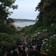 由比ヶ浜が一望できる紫陽花で有名なお寺