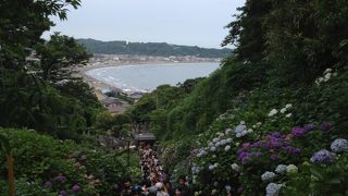 由比ヶ浜が一望できる紫陽花で有名なお寺