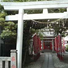 普段は人がほとんどいません。