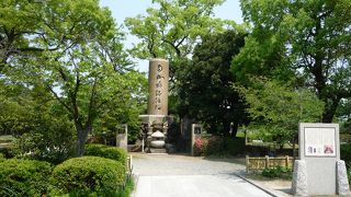 大きい公園です。
