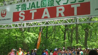 千歳市のスポーツ施設がある森に囲まれた公園