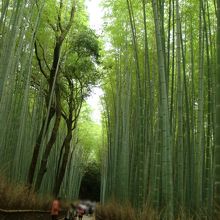10時過ぎると人が増えてきます