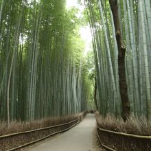 2012年11月撮影。9時20分頃