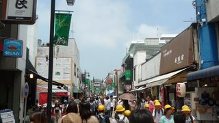 鎌倉文学館ばらまつり２０１４