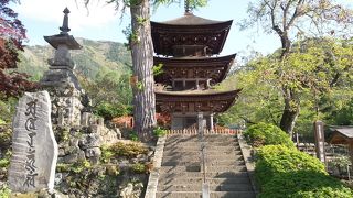 参道の古木、三重塔、庭、花、本堂と見所が多いです