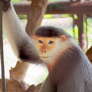 バンコク最大の動物園