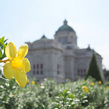 アナンタ サマーコム宮殿 
