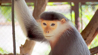 バンコク最大の動物園