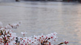 都内随一の観光名所