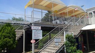 おすすめなのが、天橋立ビューランドの遊園地にある、サイクルカーからの眺めですね。