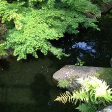 滝から池に注ぐ小川。