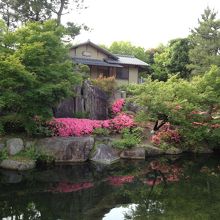 大きな池、奥が茶室。