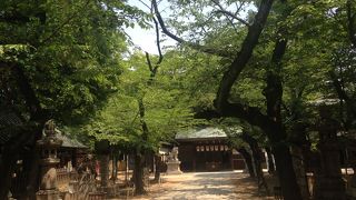 東照宮のお隣です!!