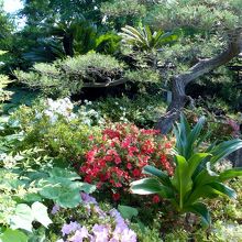 山門右手前の美しい植栽と花。