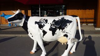 お土産をいろいろ買うには便利です。