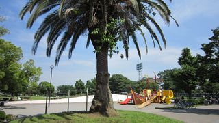 地元の人がゆったり時間を過ごす公園のようです