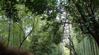 早い時間がお勧め