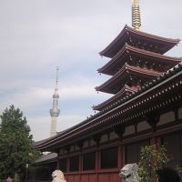 部屋によってはスカイツリーと浅草寺五重塔が見えます。