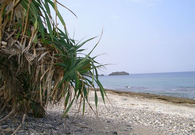 変化に満ちた海岸