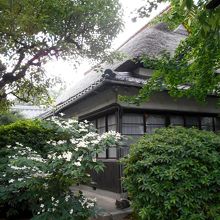 緑の額縁に包まれた庫裡。茅葺屋根が目を引く。