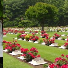 モグラの穴は見つかりませんでした