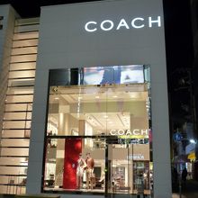 照明に照らされて素敵