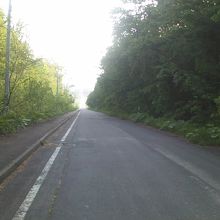 音江側から峠に続く道路の様子