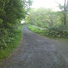 神居古潭側の道路の様子