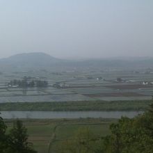 展望台からの風景
